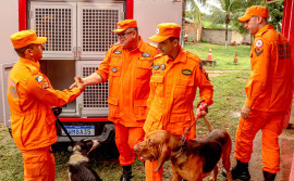 Corpo de Bombeiros cria seção de busca, resgate e salvamento com cães 