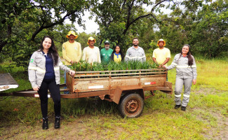 Em ação alusiva ao Dia Mundial da Água, Naturatins realiza plantio de espécies nativas do Cerrado 
