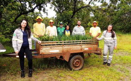 Em ação alusiva ao Dia Mundial da Água, Naturatins realiza plantio de espécies nativas do Cerrado