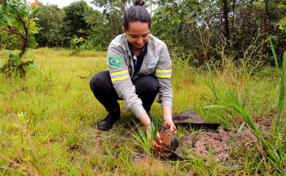 Em ação alusiva ao Dia Mundial da Água, Naturatins realiza plantio de espécies nativas do Cerrado