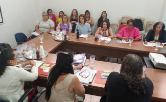 Governo do Tocantins e Conselho estadual promovem reunião para tratar da política de assistência social no Tocantins