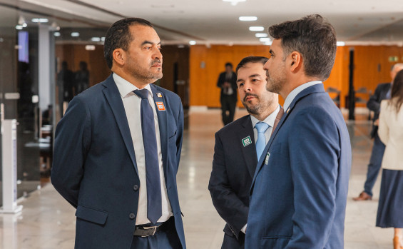 Governo do Tocantins e demais estados do Matopiba alinham ações de combate ao desmatamento no Cerrado