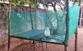 Escola Estadual Padre José de Anchieta de Sandolândia vence prêmio Escola que Transforma com projeto de criação de aves