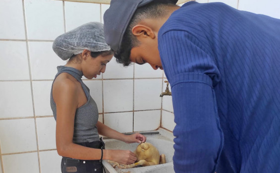Escola Estadual Padre José de Anchieta de Sandolândia vence Prêmio Escola que Transforma com projeto de criação de aves