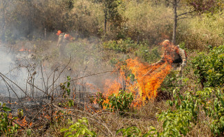 Governo do Tocantins faz  reunião do Comitê do Fogo para gestão integrada das queimadas ilegais e  incêndios florestais