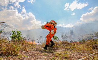 Governo do Tocantins faz reunião do Comitê do Fogo para gestão integrada das queimadas ilegais e incêndios florestais