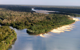 Conselho da APA Ilha do Bananal/Cantão publica lista preliminar de entidades habilitadas em edital de convocação