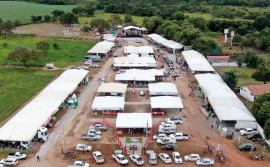 Adapec realiza palestras e atendimento aos produtores rurais na Agrosudeste 2024 