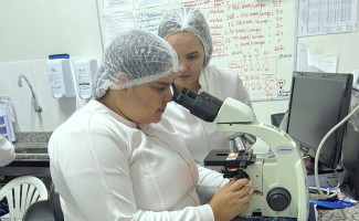 Laboratórios da Região Macronorte são capacitados para o diagnóstico das leishmanioses