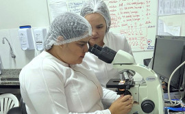 SES-TO capacita laboratórios da região macronorte para o diagnóstico das leishmanioses