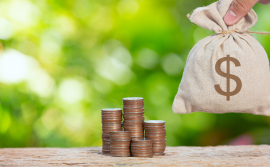 Procon Tocantins orienta consumidores sobre empréstimos consignados