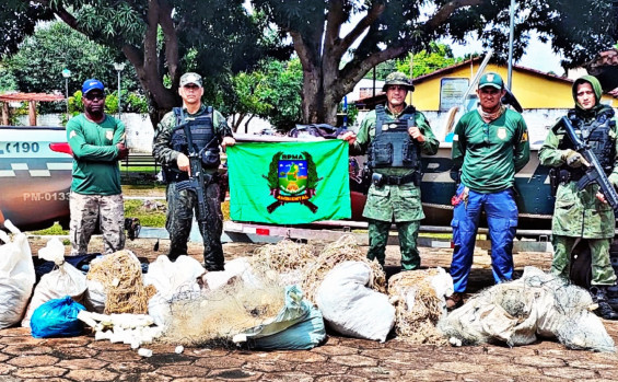 Naturatins embarga áreas de desmatamento ilegal na região centro-oeste do Tocantins
