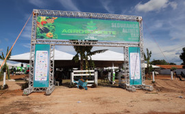 Governo do Tocantins oferece atendimento e capacitações para mulheres na 8ª edição da Agrosudeste