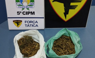 Polícia Militar prende homem por tráfico de drogas em Tocantinópolis