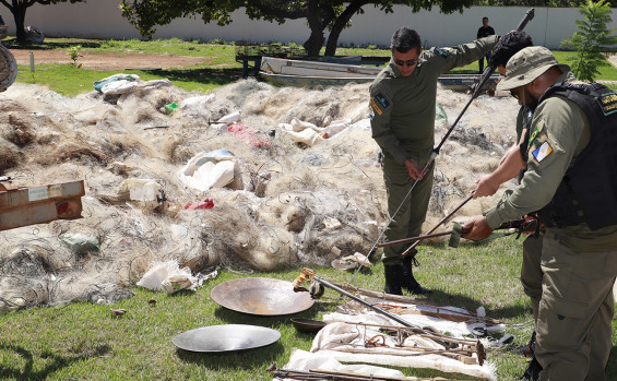 Naturatins garante eficiência no combate a crimes e infrações ambientais 