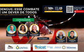 Governo do Tocantins promove webinar sobre combate à dengue