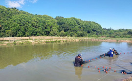 Adapec intensifica vigilâncias ativas em pisciculturas produtoras de formas jovens de peixes