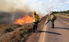 Naturatins inicia a capacitação de brigadistas florestais nesta quarta-feira, dia 1° 