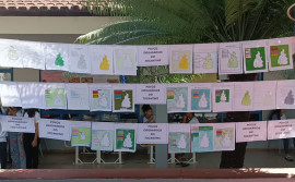 Material produzido pela Secretaria de Povos Originários e Tradicionais é utilizado em escolas públicas do Tocantins