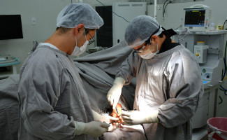 Hospital Regional de Araguaína realiza mutirão de cirurgia no dia 1º de Maio