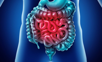 Maio Roxo: SES-TO alerta para o diagnóstico precoce das Doenças Inflamatórias Intestinais