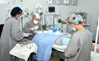 Governo do Tocantins realiza mutirões de cirurgias em otorrinolaringologia, em Palmas e Paraíso 