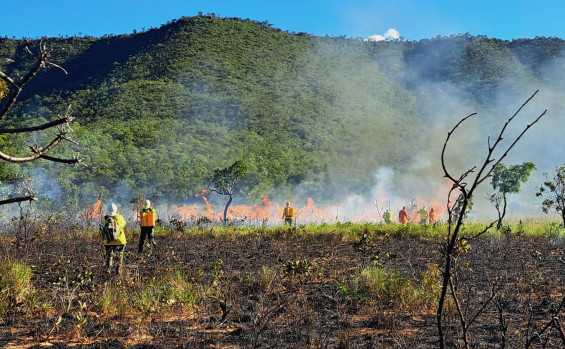 Naturatins encerra capacitação da Brigada Gavião Fumaça com prática de combate a incêndio em Mateiros