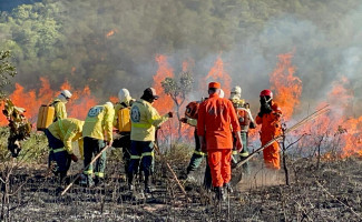 Naturatins encerra capacitação da Brigada Gavião Fumaça com prática de combate a incêndio em Mateiros