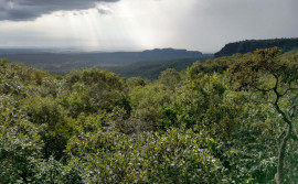 Governo do Tocantins mantém abertas inscrições para participação dos municípios na capacitação do ICMS Ecológico 2024