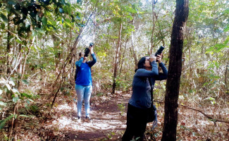Parque Estadual do Lajeado celebra 23 anos com programação destinada a observação de aves