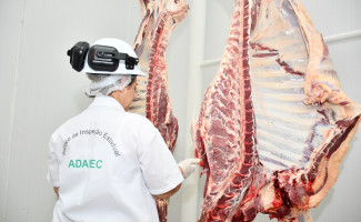 Com capacidade de abate de 120 animais/dia, frigorífico em Miranorte recebe autorização da Adapec para iniciar atividades