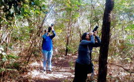 Gerido pelo Naturatins, Parque Estadual do Lajeado celebra 23 anos com programação destinada à observação de aves
