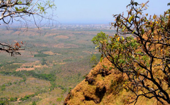 Gerido pelo Naturatins, Parque Estadual do Lajeado celebra 23 anos com programação destinada à observação de aves 