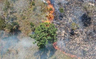 Unidades de Conservação iniciam temporada de queimas prescritas
