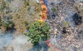 Unidades de Conservação geridas pelo Naturatins iniciam temporada de queimas prescritas