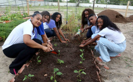 Escola Santa Rita do Rio Palma, de Paranã, recebe prêmio do Governo do Tocantins por projeto que promove a alimentação saudável