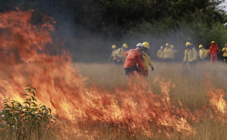 Em Caseara, Naturatins finaliza capacitação da brigada com prática de combate a incêndios florestais