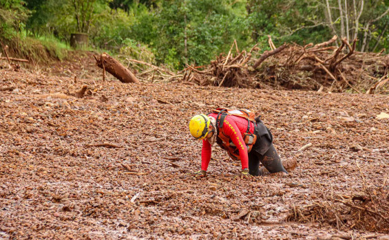 Operação no Rio Grande do Sul destaca experiência e alto nível técnico dos bombeiros tocantinenses em ações de desastre