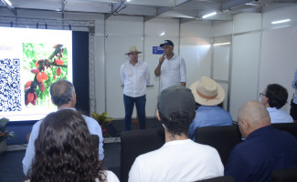Governo do Tocantins incentiva produção de cacau na Agrotins 2024