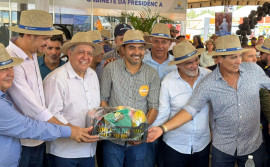 Adapec encerra Agrotins 2024 com mais de 2,5 mil atendimentos no estande institucional