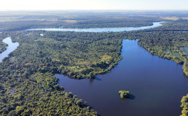 Governo do Tocantins realiza mapeamento de sítios de aves migratórias no Cantão como medida de prevenção da influenza aviária