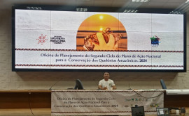 Naturatins participa de planejamento do Plano de Ação Nacional para Conservação dos quelônios amazônicos