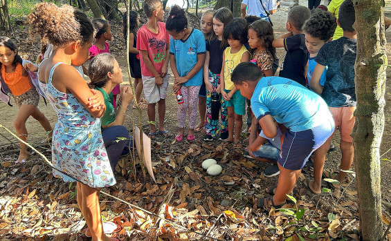 Naturatins promove atividades educativas no Parque Estadual do Cantão em alusão ao Dia Mundial das Lontras 