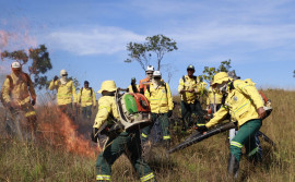 Naturatins conclui capacitação de brigadistas florestais no Parque Estadual do Lajeado
