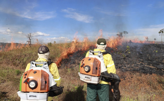 Naturatins conclui capacitação de brigadistas florestais no Parque Estadual do Lajeado 