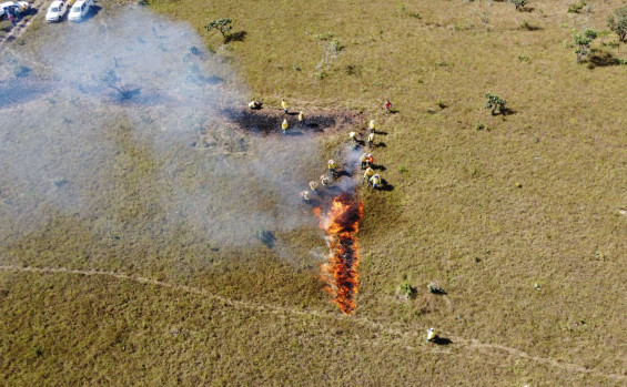 Naturatins conclui capacitação de brigadistas florestais no Parque Estadual do Lajeado 