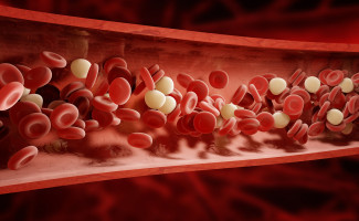 No Junho Laranja, SES-TO conscientiza a população sobre anemia e leucemia