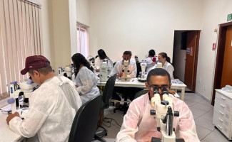 SES-TO realiza capacitação com foco no controle da doença de chagas