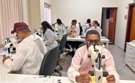 SES-TO realiza capacitação com foco no controle da doença de Chagas