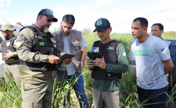 Governo do Tocantins lança Estratégia de Combate ao Desmatamento Ilegal na Semana do Meio Ambiente do Estado